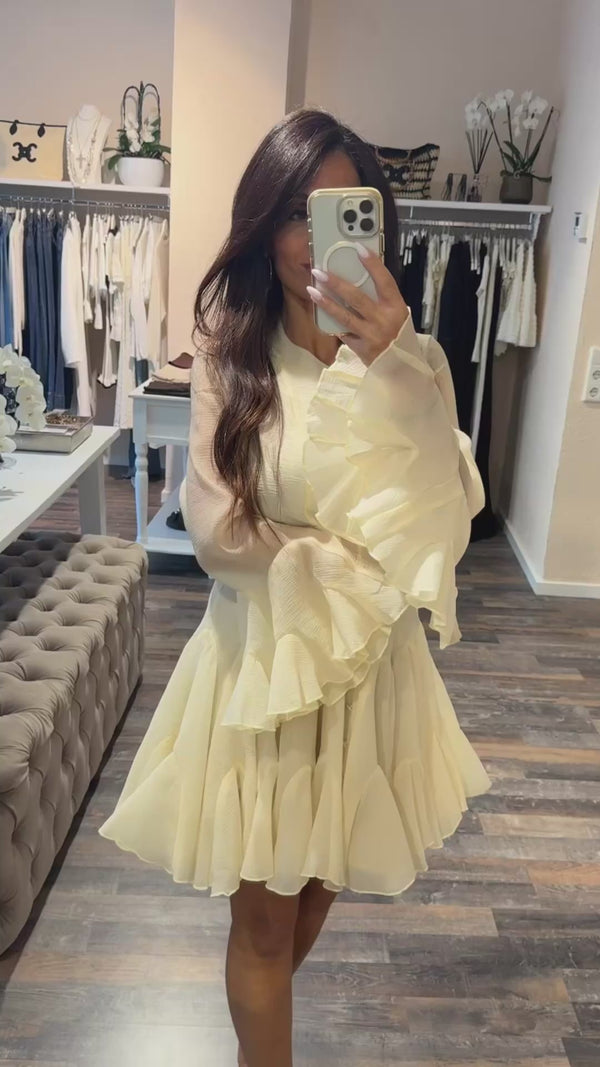 Serena Flair Dress